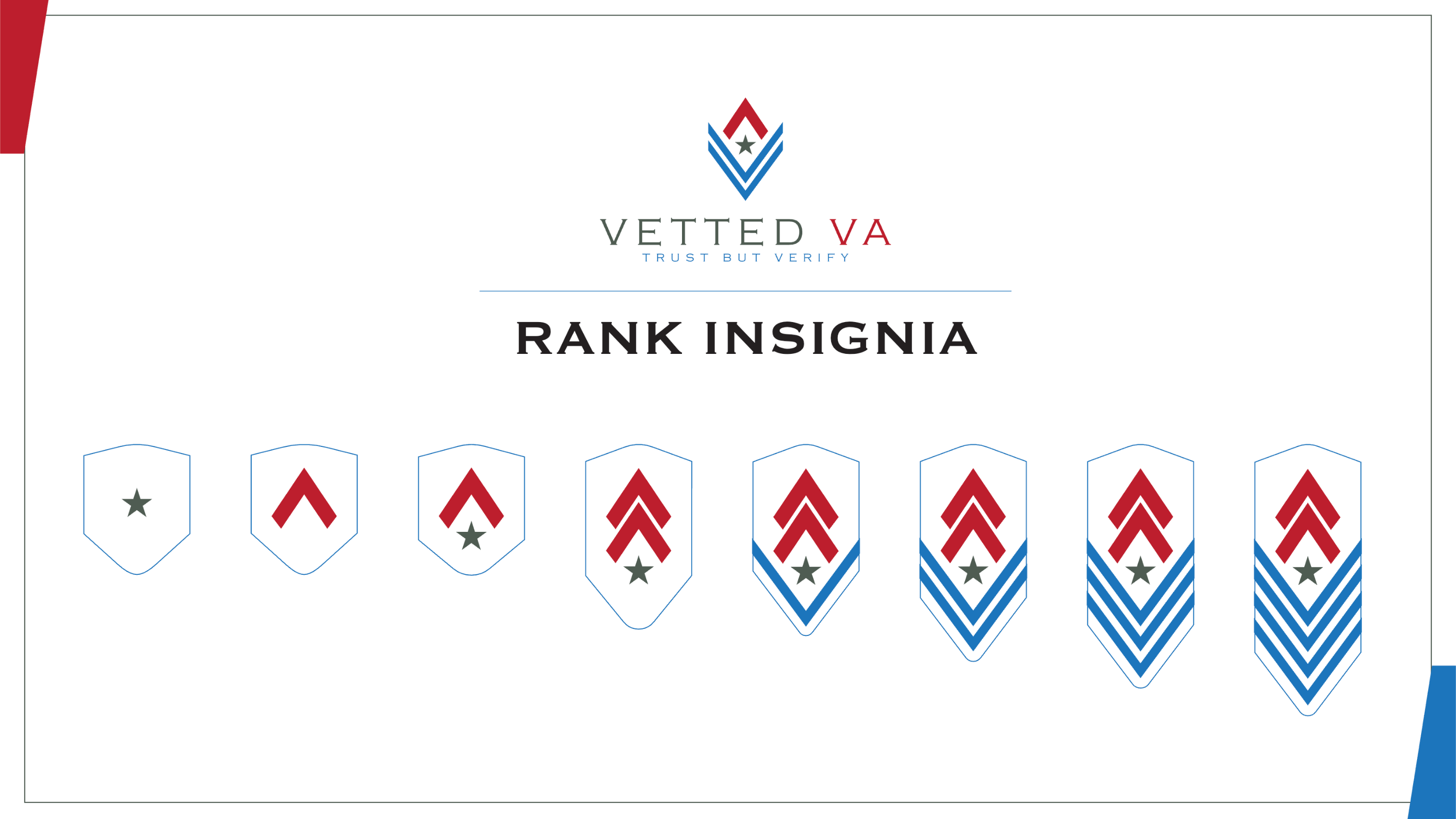 Rank insignia assigned to Vetted Professionals. 